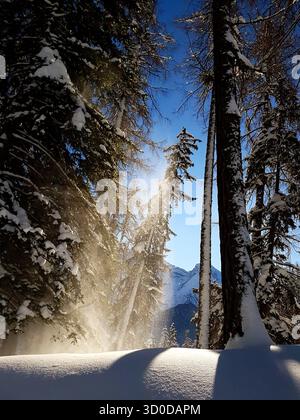 Märchenhafte Winterlandschaft mit schneebedeckten Tannen, blauem Himmel und fallendem Schnee schafft eine magische Atmosphäre Stockfoto