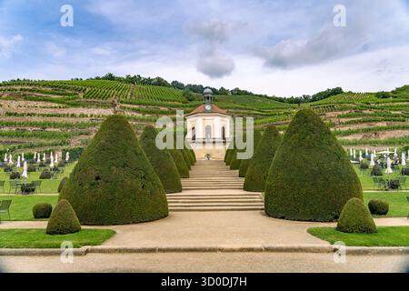 Belvedere und Weinberg des Sächsischen Landesweinkellers Schloss Wackerbarth oder Wackerbarths Ruh' in Niederlößnitz, Radebeul, Sachsen, Deutschland Stockfoto