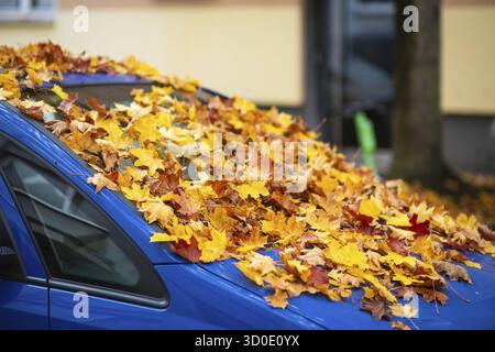 Ein Auto ist im Herbst in Wuppertal mit einer dicken Schicht Herbstlaub bedeckt Stockfoto