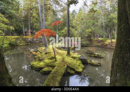 Saihoji Kokedera Tempel Moosgarten und umliegende Herbstlaub Blick. Berühmtes UNESCO-Gebäude in Kyoto, Japan Stockfoto