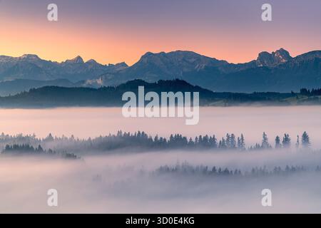 Friedlicher Sonnenaufgang im Allgäu in Bayern. Morgennebel lauert im Tal, während das erste Licht des Tages die Landschaft darin taucht Stockfoto