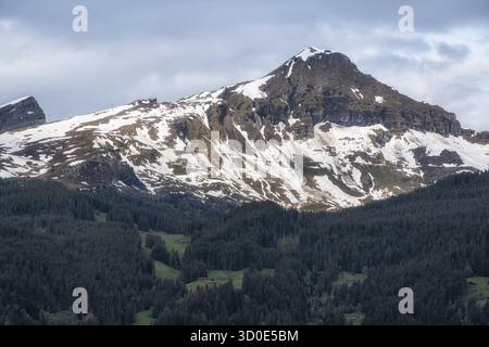 Bergregion der Berner Alpen von Grindelwald aus gesehen Stockfoto
