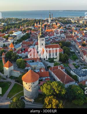 Blick aus der Vogelperspektive auf alte Backsteingebäude mit roten Ziegeldächern, eingebettet zwischen grünen Bäumen und klarem Himmel, Tallinn, Harju County, Estland. Stockfoto