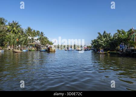 Korbboottour durch den Nipa Palm Forest auf dem Thu Bon River in Hoi an, Vietnam Stockfoto