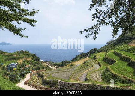 Darangee oder Daraengi Dorf ist eine berühmte Reisterrasse auf dem Hügel mit Blick auf den Ozean gebaut. Aufgenommen in Namhae, Südkorea Stockfoto