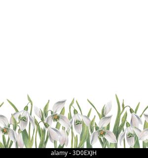 Rand der Schneeglöckchen Blumen. Nahtloses Muster. Horizontaler Rahmen. Aquarellillustration handgezeichnet und isoliert auf weißem Hintergrund. Perfekt für D Stockfoto