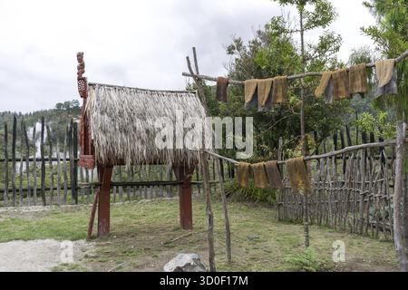 Traditionelle maori-Lagerung in te puia Tour in rotorua neuseeland Stockfoto