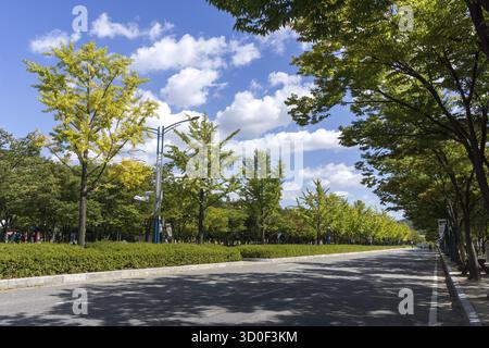 Eine Fahrradstraße im incheon Grand Park, die im frühen Herbst aufgenommen wurde, wenn das Laub beginnt, diese herbstliche Farbe zu verleihen. Aufgenommen in Incheon, Südkorea, incheon, Stockfoto
