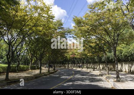 Eine Fahrradstraße im incheon Grand Park, die im frühen Herbst aufgenommen wurde, wenn das Laub beginnt, diese herbstliche Farbe zu verleihen. Aufgenommen in Incheon, Südkorea, incheon, Stockfoto