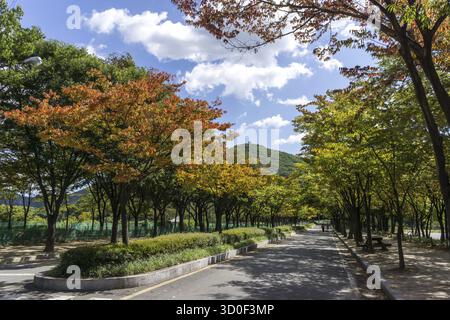 Eine Fahrradstraße im incheon Grand Park, die im frühen Herbst aufgenommen wurde, wenn das Laub beginnt, diese herbstliche Farbe zu verleihen. Aufgenommen in Incheon, Südkorea, incheon, Stockfoto