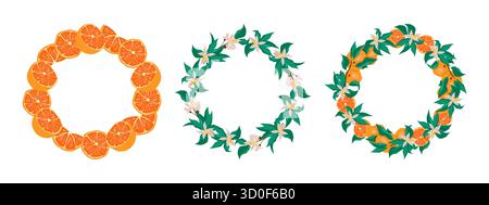 Eine dekorative Orangenkranzkollektion mit Zitrusfrüchten und Blumenelementen, ideal für festliche Karten, Poster und saisonale Projekte. Stock Vektor