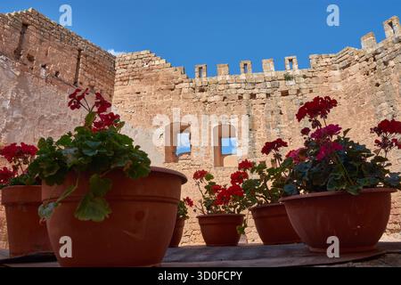 Das Innere der Burg Monteagudo de las Vicarias in Soria, Castile and Leon, Spanien, wo mehrere Töpfe mit roten Geranien im Vordergrund einen Hauch bieten Stockfoto
