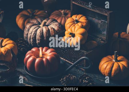 Stillleben mit Kürbissen und Vintage-Kerze, Thanksgiving-Arrangement in Herbstfarben Stockfoto