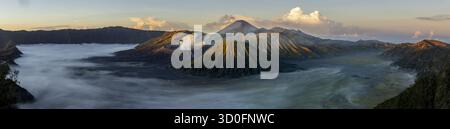Blick auf zerklüftete Gipfel durchdringen ein Meer aus ätherischem Nebel, beleuchtet vom sanften Schein der Dämmerung und schaffen eine dramatische Landschaft, Bromo, Ost-Java, Indonesien. Stockfoto