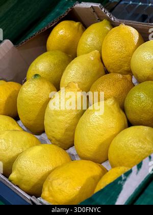 Nahaufnahme von gelben Reifen Zitronen im Verkaufsregal des Supermarktes Stockfoto