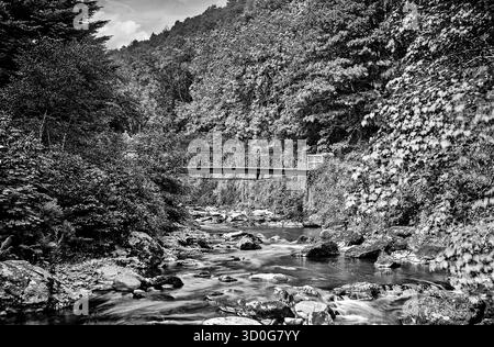 Lady Louise's Bridge über den Blackwater River in Lismore, County Waterford, Irland. Lady Louisa Caroline Cavendish (1835–1907) war die älteste Tochter des 7. Duke of Devonshire, dessen Familie Lismore Castle im 18. Jahrhundert erworben hatte. Lady Louisa übernahm offenbar in jungen Jahren den Haushalt und war dafür verantwortlich, eine Reihe von Spaziergängen rund um die Demesne einschließlich der Fußgängerbrücke anzulegen, die nun nicht mehr nur noch Stein- oder Betonabutments übrig waren. Stockfoto