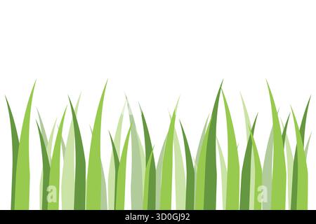 Grüne Grasblätter Illustration – Natur Frühling Hintergrund Design. Grüne Grashalme auf weißem Hintergrund Stock Vektor