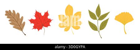 Set farbenfroher Herbstbaumblätter. Mit Eichen-, Ahorn-, Kastanien-, Asche- und Ginkgoblättern in warmen Herbsttönen. Isolierte Elemente auf weißem Hintergrund Stock Vektor