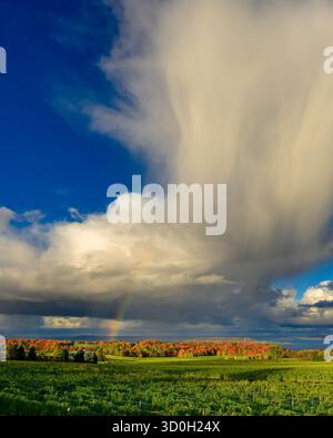 Ein Regenbogen über der West Grand Traverse Bay im Herbst mit bunten Blättern auf den Bäumen auf der Old Mission Peninsula und Power Island, Michigan, USA. Stockfoto