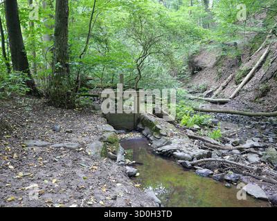 Kleiner Waldbach mit Holzwehren, umgeben von Moos, Bäumen und dichter Vegetation in natürlicher Umgebung. Kopierraum. Stockfoto