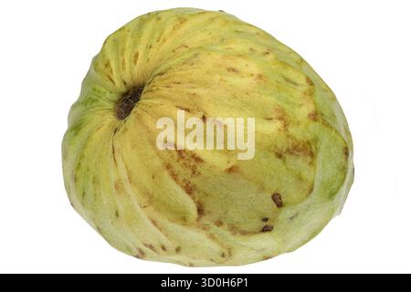 Cherimoya-Frucht isoliert auf weißem Hintergrund Stockfoto