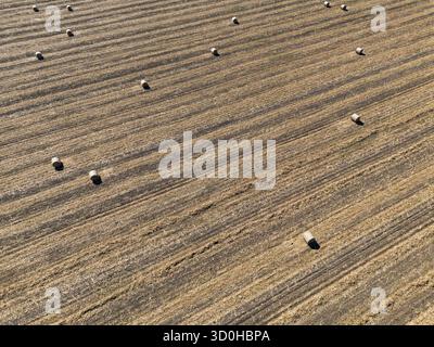 Luftaufnahme von Heuballen, die über ein goldenes Feld verstreut sind, Muster, die von Erntemaschinen geätzt wurden, Rusalea, Provinz Veliko Tarnovo, Bulgarien. Stockfoto