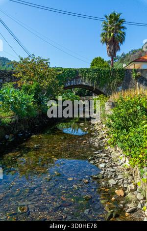 Ein klarer, flacher Bach fließt unter einer moosbedeckten Steinbogenbrücke, flankiert von üppigem Grün und einer hohen Palme vor einem hellblauen Himmel Stockfoto