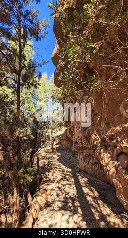 Ein schmaler, felsiger Pfad, der sich durch einen zerklüfteten Canyon schlängelt, mit Bäumen, die weiche Schatten auf dem Weg unter einem hellblauen Himmel werfen. Stockfoto