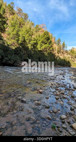 Klarer, flacher Fluss, der über ein Bett aus glatten, nassen Steinen und Kieselsteinen fließt und den hellblauen Himmel darüber reflektiert Stockfoto