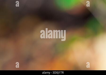 Abstrakter unscharfer Hintergrund mit Braun-, Grün- und Gelbtönen. Stockfoto