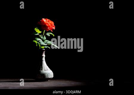 Eine einzelne rote Rose in einer Keramikvase auf einem Holztisch, isoliert auf schwarzem Hintergrund. Nahaufnahme, Kopierbereich Stockfoto