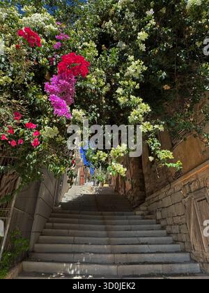 Bougainvillea verleiht der Stadt Ermoupoli Farbe – Insel Syros, Kykladen, Griechenland Stockfoto