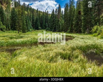 West Brush Creek Inlet zum Sylvan Lake State Park, Eagle, Colorado. Stockfoto