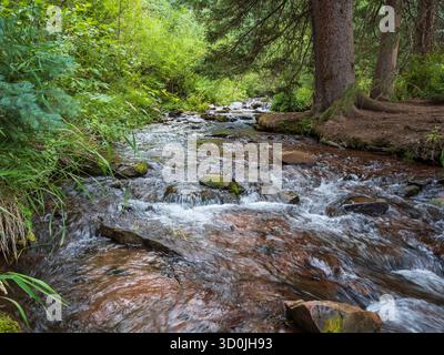 West Brush Creek Inlet zum Sylvan Lake State Park, Eagle, Colorado. Stockfoto