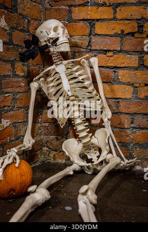 Bild eines menschlichen Skeletts neben einem leuchtenden Kürbis, was eine gruselige und geheimnisvolle Halloween-Atmosphäre schafft. Die Komposition kombiniert klassisch Stockfoto