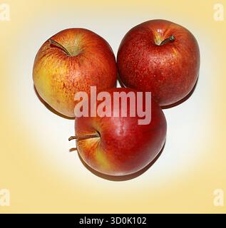 Rote Äpfel, essbares Obst, schmackhaftes Essen. Frische Kochzutaten Stockfoto