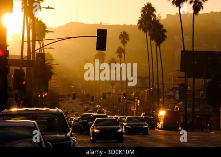 Sonnenuntergang auf dem Sunset Boulevard, Los Angeles, Kalifornien, Vereinigte Staaten von Amerika Stockfoto