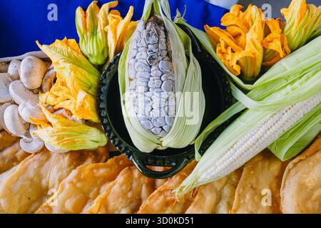 Blick von oben auf eine schwarze Platte mit blauem Mais, Kürbisblüten, frischen Pilzen und gebratenen Maisteig-Molotes. Ikonisches Gericht der Poblano-Gastronomie Stockfoto