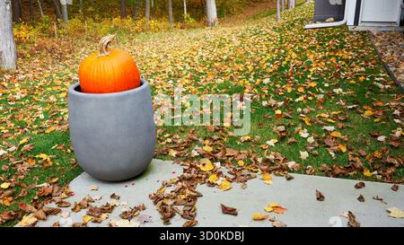 Ein orangener Kürbis in einem großen grauen Blumentopf auf einer Zementterrasse, mit Herbstlaub auf dem Rasen. Stockfoto