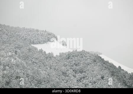 Oktober 2025 Herbstschnee auf dem Wald der Bjelasica Mountains, Skizentrum Kolasin 1450, Montenegro (2) Stockfoto