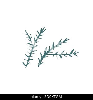 Handgezeichnete skandinavische Tannenzweige im schlichten nordischen Minimal-Stil für moderne weihnachtsdekoration und natürliche Designprojekte Stock Vektor