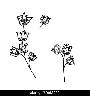 Zweige mit Blumen und Blättern, schwarz-weiße Skizze. Vektorabbildung. Set von Frühlingswildblumen, einfaches Muster, isoliert auf weißem Hintergrund. F Stock Vektor