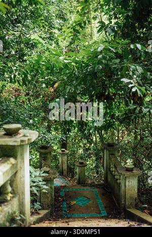 Antike Dschungelstufen, Kathu Wasserfall, Phuket, Thailand Stockfoto
