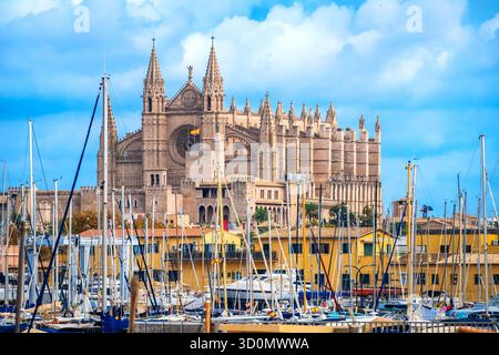 Blick auf die Kathedrale Basílica de Santa María de Mallorca vom Hafen. Insel Mallorca. Balearen in Spanien. Stockfoto