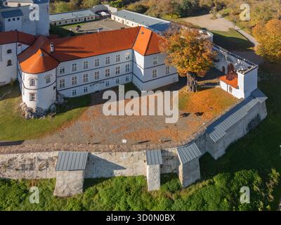 Aus der Vogelperspektive auf die alten Burgmauern umschließen den Steinhof, wo goldene Blätter unter einem einsamen Baum streuen, Slovenska Lupca, Banskobystricky kraj, Slowakei. Stockfoto