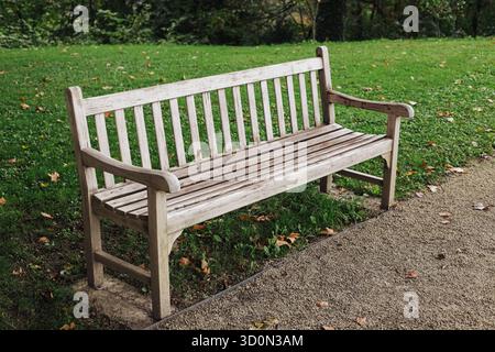 Leere Parkbank aus Holz im grünen Garten. Sitzplätze im Freien im öffentlichen Park im Herbst. Friedliche urbane Natur und Freizeitkonzept. Stockfoto