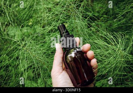 Frau Hand hält natürliche pflanzliche Heilmittel namens Equisetum arvense das Feld Schachtelhalm oder gewöhnliche Schachtelhalm Tinktur Glasflasche draußen im Wald. Stockfoto