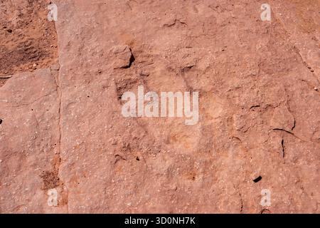 Eine Spur eines großen prähistorischen Eubrontes-Dinosauriers an der Warner Valley Dinosaur Tracks Site in Utah. Stockfoto
