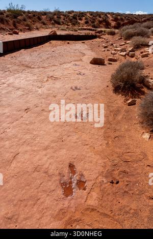 Die Strecke eines großen prähistorischen Eubrontes-Dinosauriers befindet sich in der Warner Valley Dinosaur Tracks Site in Utah. Stockfoto