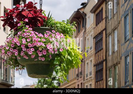 Hängende Körbe mit Blumen in den Straßen von Rouen in der Normandie in Frankreich Stockfoto